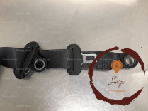 Ceinture ARG - TOYOTA - 733700H020C0