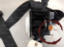 Ceinture ARG - CITROEN - 8976C2