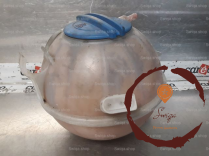 Vase expansion - VOLKSWAGEN
