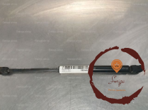 Verin d capot - ROVER - BKK500010
