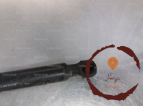 Verin d hayon - DACIA - 534913170096