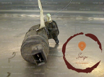 Pompe lave-glace AV - FIAT - 5570289