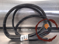 Joint porte AVG - RENAULT