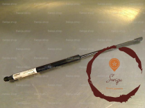 Verin g hayon - CITROEN - 9813177780