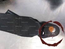 Ceinture ARD - DACIA - 426002128509