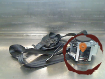 Ceinture AVD - RENAULT - 426003112671