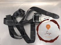 Ceinture ARG - PEUGEOT - 8974V8