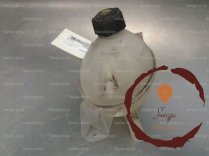 Vase expansion - DACIA - 19211038554