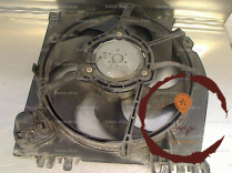 Moteur ventilateur radiateur - RENAULT - 7701068310
