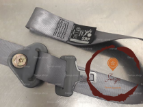 Ceinture AVD - RENAULT - 7700436752