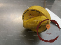 Jauge a huile - RENAULT - 10310542618
