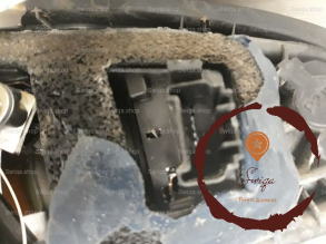 Feu ARD - TOYOTA - 815510H070