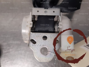 Ceinture ARG - PEUGEOT - 8974LH