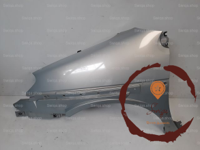 Aile AVG - RENAULT - 7751474881