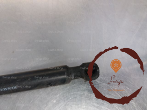 Verin d hayon - DACIA - 534913170096