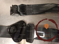 Ceinture ARG - RENAULT