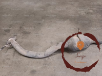 Silencieux AR - LEXUS - 1743031E00