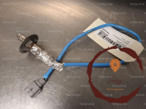 Sonde lambda - RENAULT