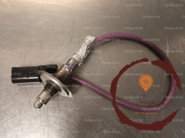 Sonde lambda - RENAULT