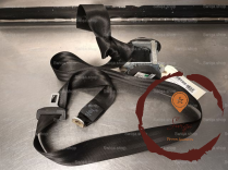 Ceinture ARG - SKODA - 1Z0857447DHCP