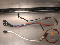 Sonde lambda - RENAULT