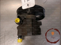 Pompe direction assistee - DACIA - 491106541R