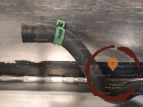 Durit inferieure radiateur - RENAULT