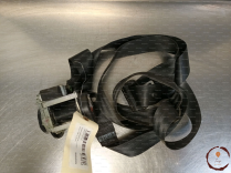 Ceinture AVG - FORD - 1691461