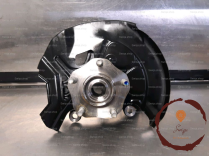 Pivot AVD - NISSAN