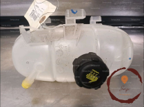 Vase expansion - RENAULT
