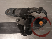 Ceinture ARD - CITROEN - 8974XL