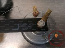 Klaxon  / avertisseur - NISSAN