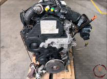 Moteur diesel - FORD - 1699880