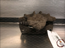 Etrier de frein AVG - RENAULT - 333802031761