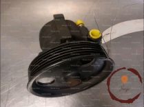 Pompe direction assistee - DACIA - 491106541R