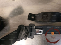 Ceinture ARG - RENAULT - 8200798380