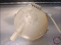 Vase expansion - SEAT - 6Q0121407D