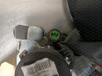 Ceinture AVG - FORD - 1691461