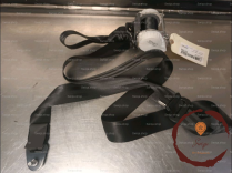 Ceinture ARG - PEUGEOT - 8975SH
