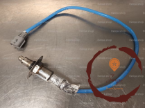 Sonde lambda - RENAULT