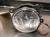 Phare antibrouillard AVG - RENAULT - 261500097R