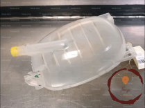 Vase expansion - NISSAN