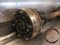 Transmission AVG - VOLKSWAGEN - 203103081009