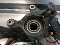 Pivot AVG - NISSAN