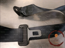 Ceinture ARD - NISSAN