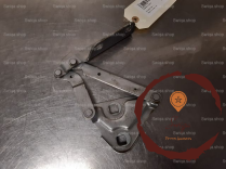 Compas g capot - PEUGEOT - 791253