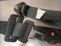 Ceinture ARG - NISSAN