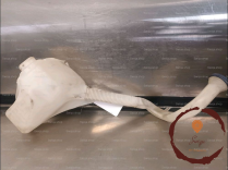 Reservoir lave-glace AV - CITROEN - 6431C8
