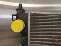 Radiateur - SUZUKI - 1770062M00000