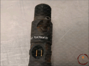 Injecteur 3 - RENAULT - 166000897R